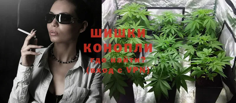 где можно купить   Цоци-Юрт  МАРИХУАНА OG Kush 